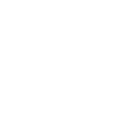 Surveillance Systems